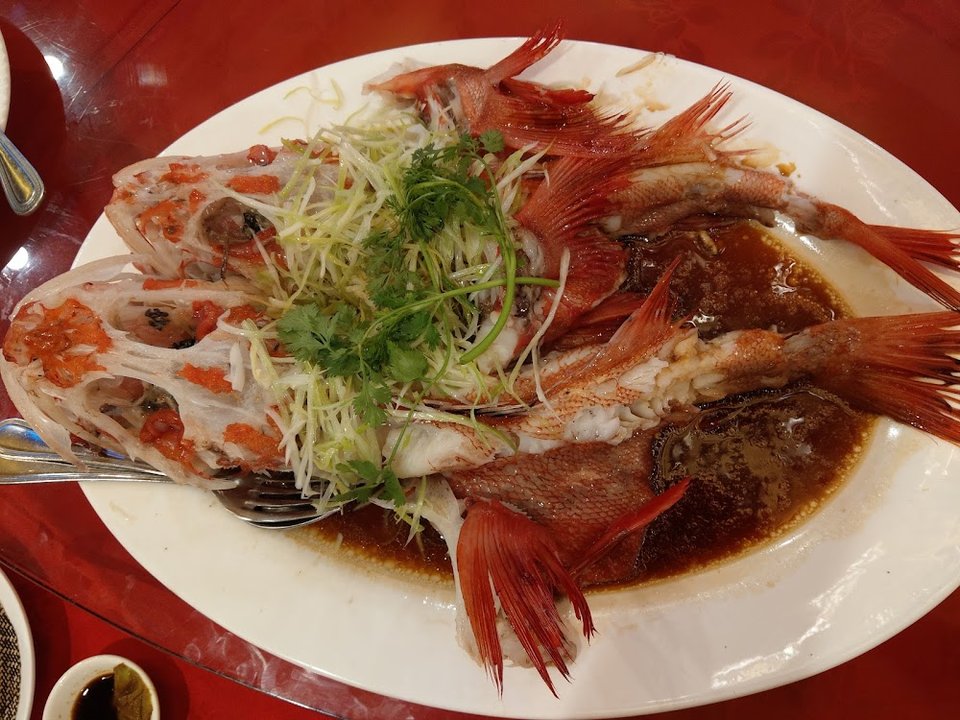 清蒸大眼紅斑