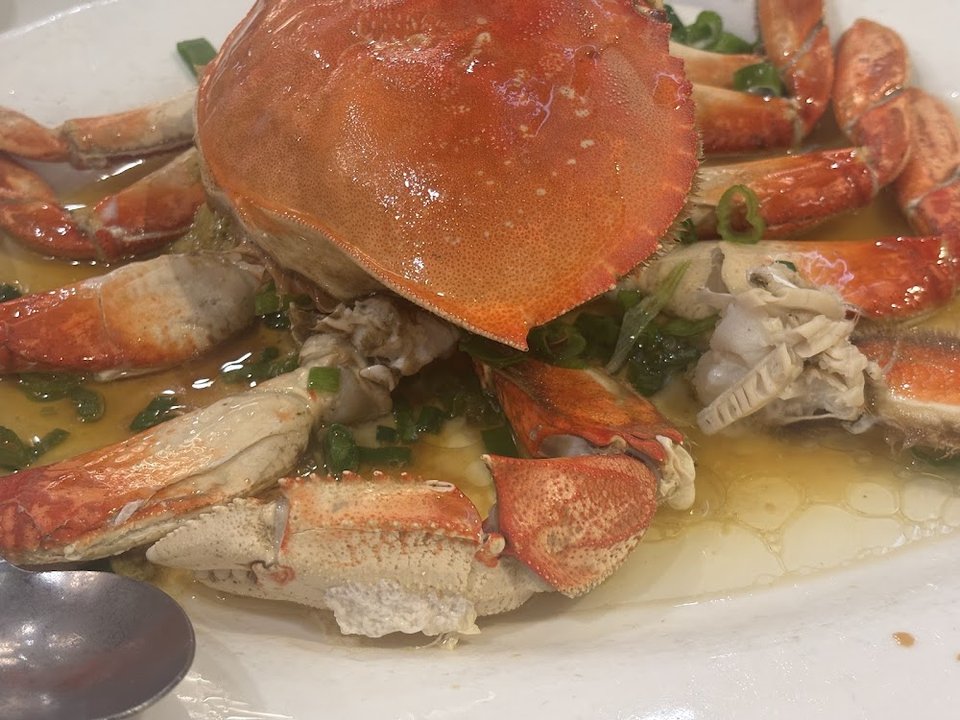 Dungeness Crab